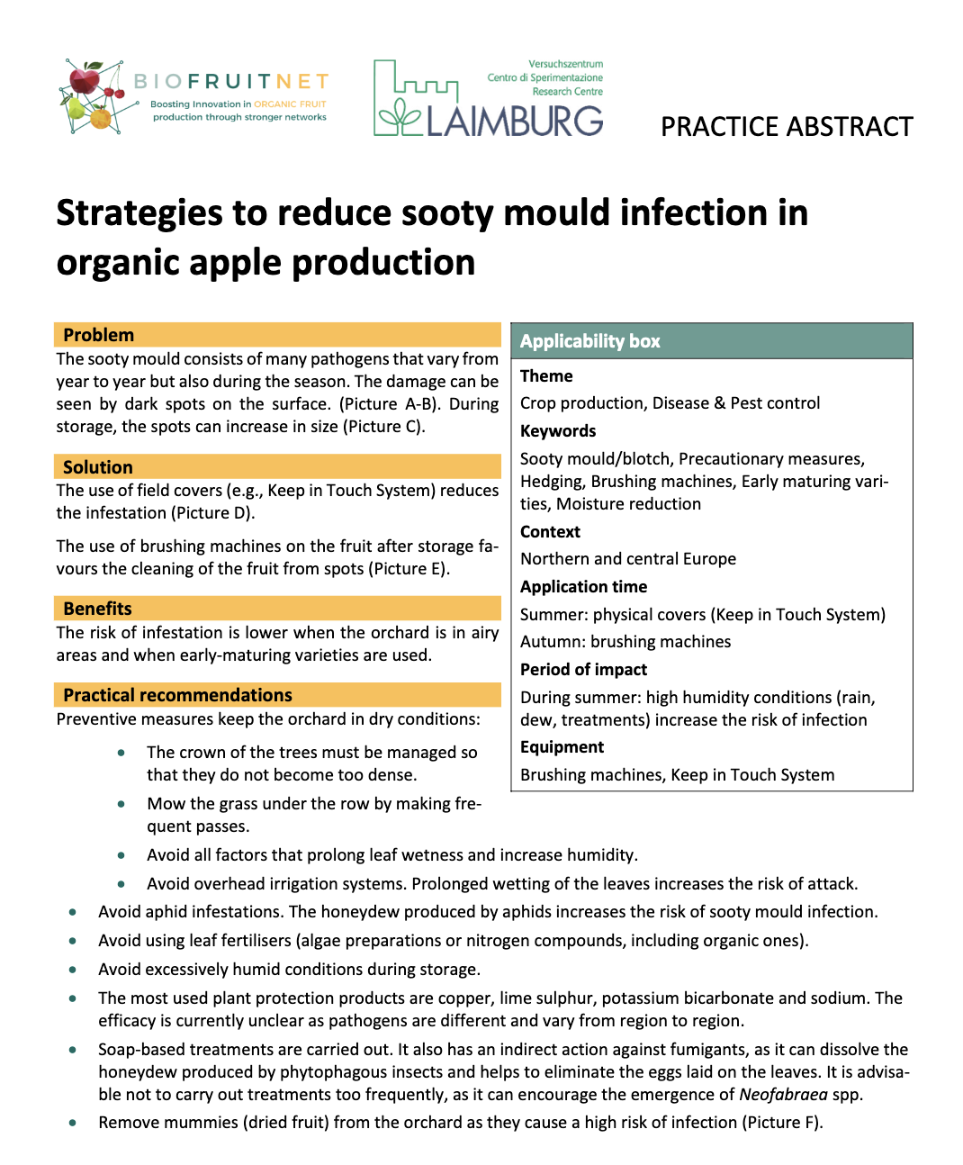 Strategies to reduce sooty mould infection in organic apple production